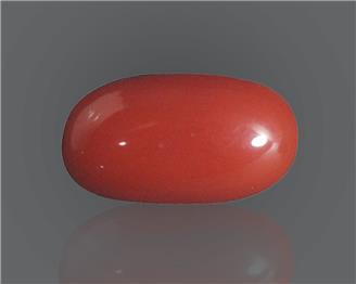 Natural Red Coral (J)  7.64 RTS - 65008